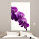 Purple Orchid Wall Decal