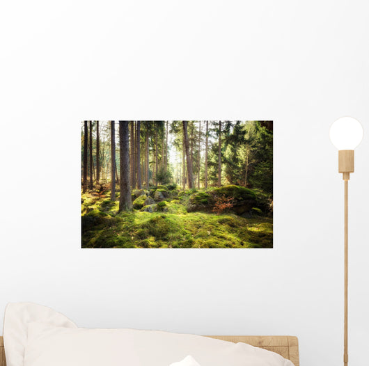 Aller Frische Walder Nach Wall Decal