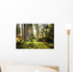 Aller Frische Walder Nach Wall Decal