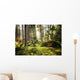 Aller Frische Walder Nach Wall Decal