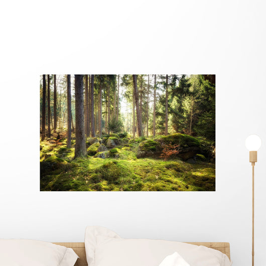 Aller Frische Walder Nach Wall Decal