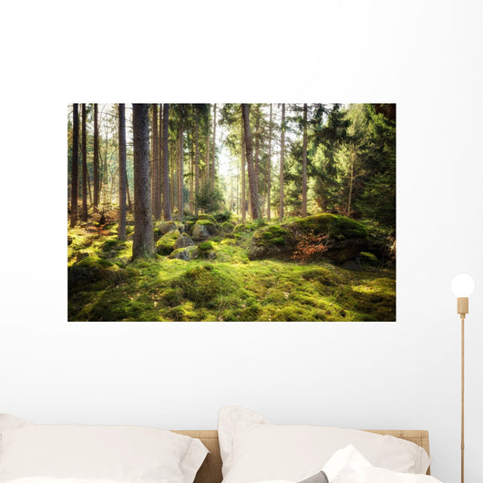 Aller Frische Walder Nach Wall Decal