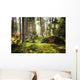 Aller Frische Walder Nach Wall Decal