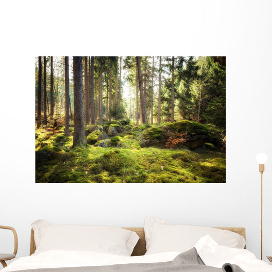 Aller Frische Walder Nach Wall Decal