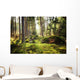 Aller Frische Walder Nach Wall Decal
