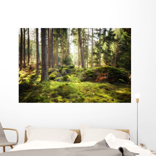 Aller Frische Walder Nach Wall Decal