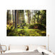 Aller Frische Walder Nach Wall Decal
