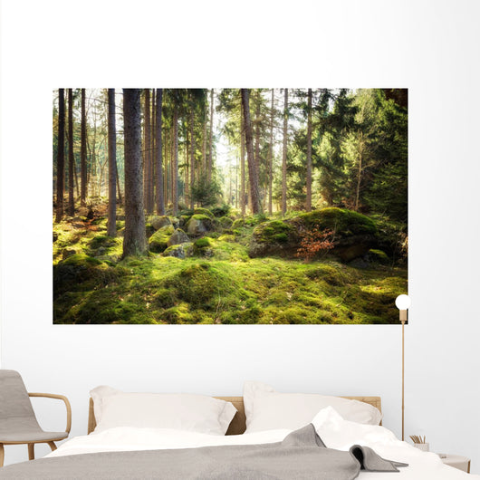 Aller Frische Walder Nach Wall Decal
