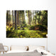 Aller Frische Walder Nach Wall Decal