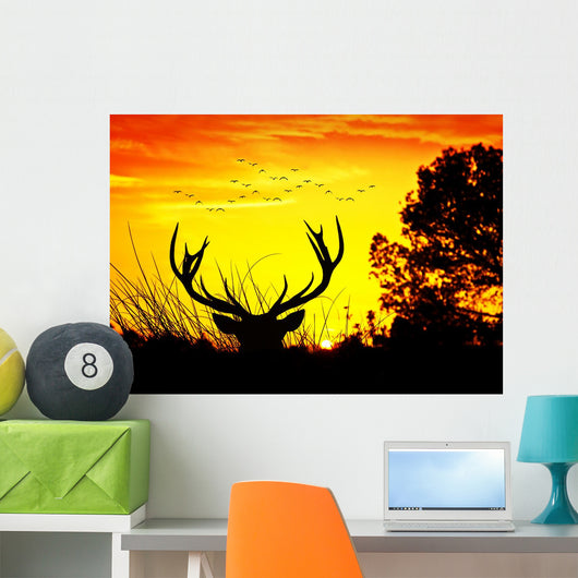 Animales Y Naturaleza Wall Decal