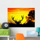 Animales Y Naturaleza Wall Decal