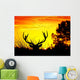 Animales Y Naturaleza Wall Decal