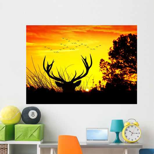 Animales Y Naturaleza Wall Decal
