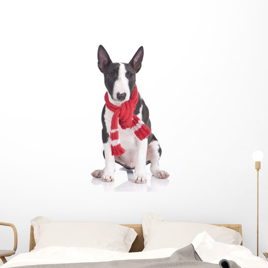 Miniatur Bullterrier Mit Rotem Wall Decal