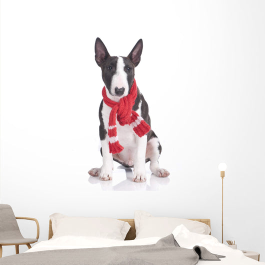 Miniatur Bullterrier Mit Rotem Wall Decal
