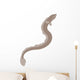 Eel Silhouette Wall Decal