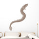 Eel Silhouette Wall Decal