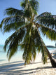Bora Bora Wall Decal
