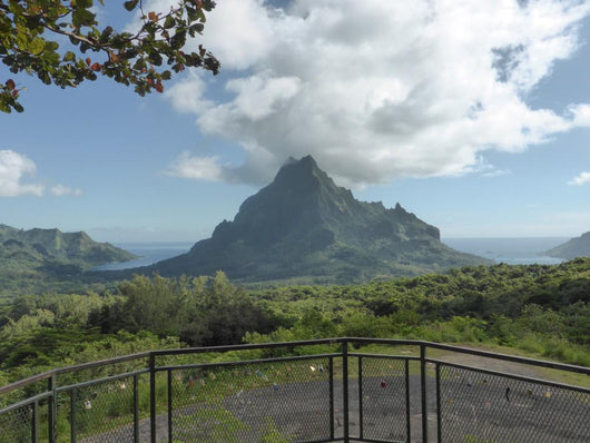 Moorea Wall Mural