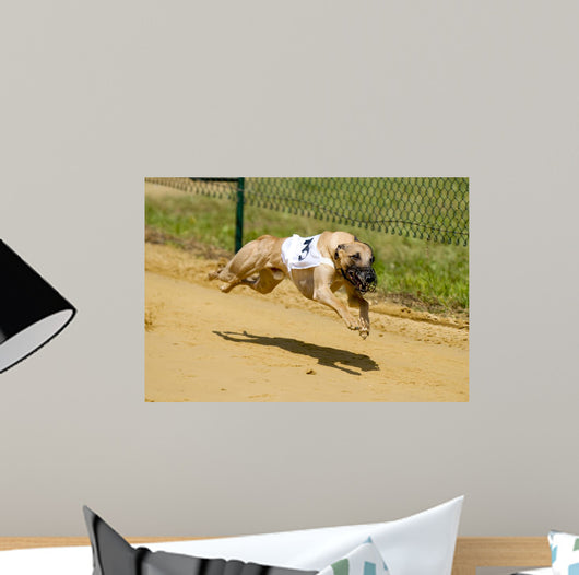 Greyhounds Wall Decal