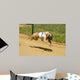 Greyhounds Wall Decal