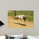 Greyhounds Wall Decal