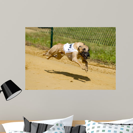 Greyhounds Wall Decal