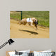 Greyhounds Wall Decal