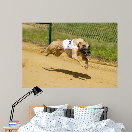 Greyhounds Wall Decal