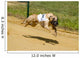Greyhounds Wall Decal