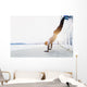 Young athlete is doing vertical push ups Wall Mural