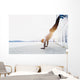 Young athlete is doing vertical push ups Wall Mural