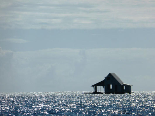 Tahiti Wall Decal