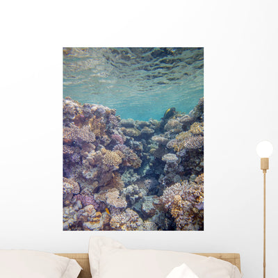 Red Sea Coral Reef Wall Decal shown on a wall
