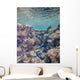 Red Sea Coral Reef Wall Decal