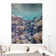 Red Sea Coral Reef Wall Decal
