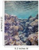 Red Sea Coral Reef Wall Decal