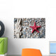 Closeup Red Starfish and Wall Decal