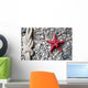Closeup Red Starfish and Wall Decal