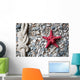 Closeup Red Starfish and Wall Decal