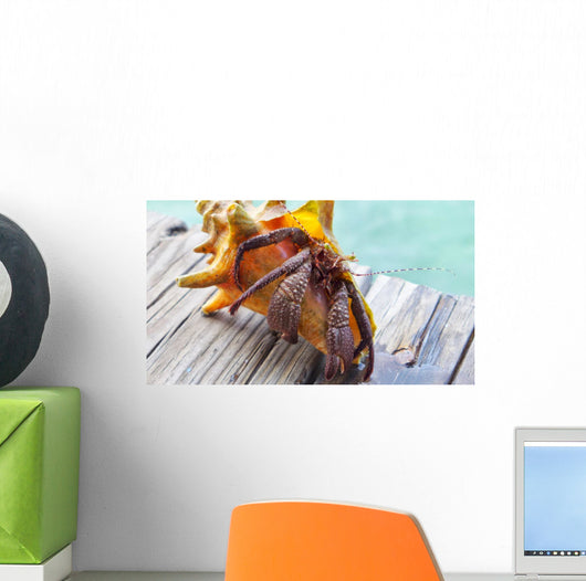 Hermit Crab Wall Decal