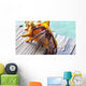Hermit Crab Wall Decal