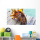 Hermit Crab Wall Decal