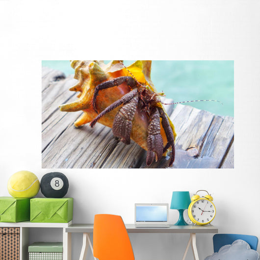 Hermit Crab Wall Decal