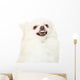 Pomeranian Dog Feeling Angry Wall Decal