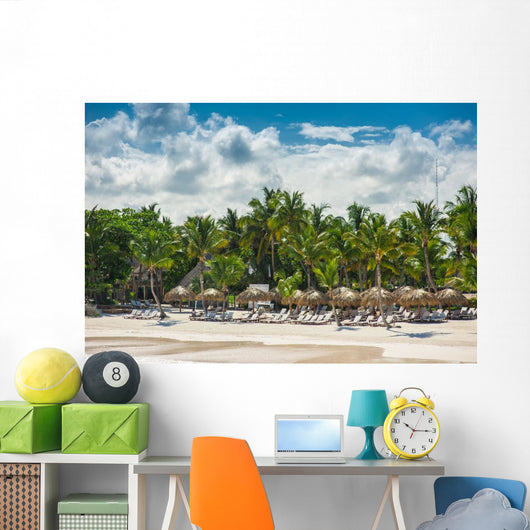 Relaxing on remote Tropical Paradise beach in Dominican Republic Wall Mural