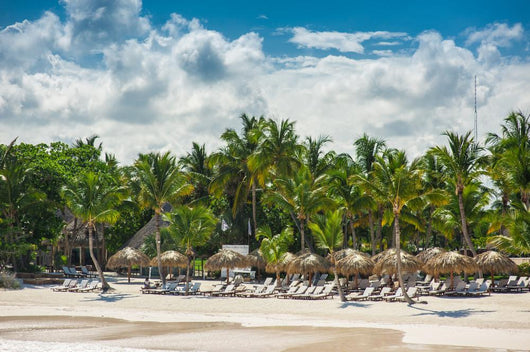 Relaxing on remote Tropical Paradise beach in Dominican Republic Wall Mural