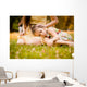Worries Childhood Wall Decal