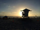 Venice Beach Lifeguard Silhouette Wall Decal