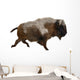 American Bison Wall Decal